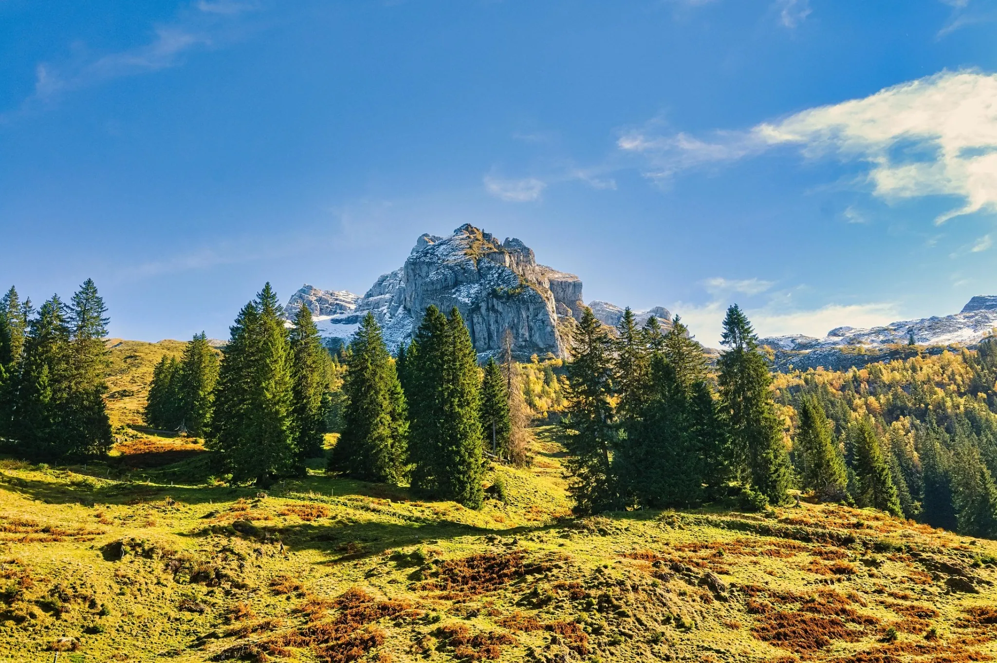 산림복지서비스이용권 당첨 확인 방법 알아보기