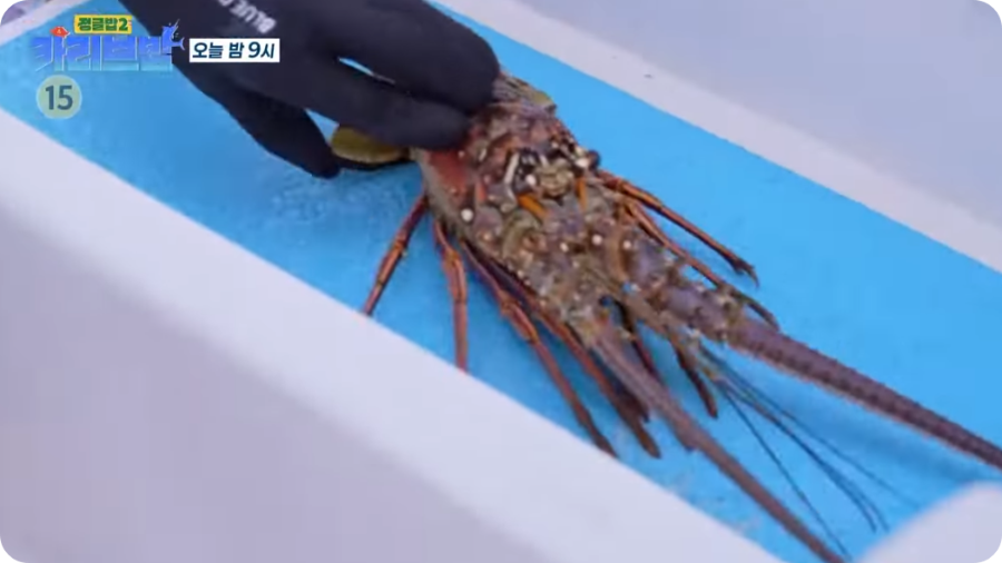 출처 정글밥2 카리브밥