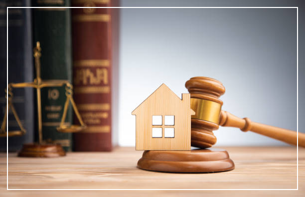 전세사기 특별법