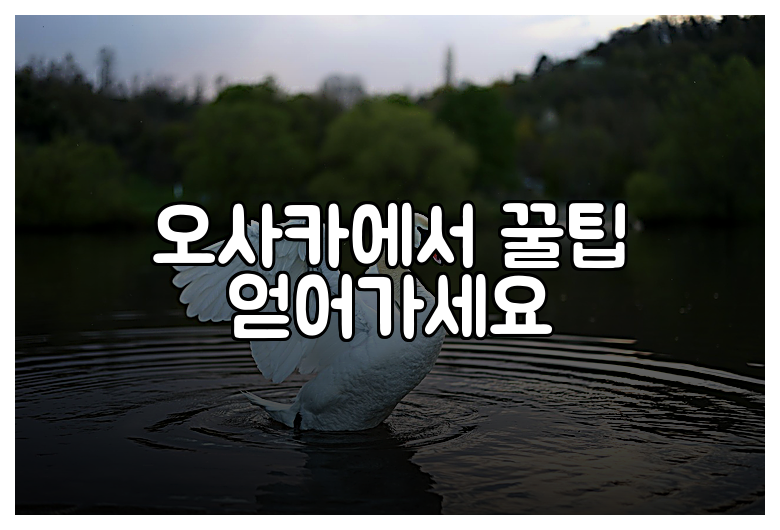오사카에서 꿀팁 얻어가세요