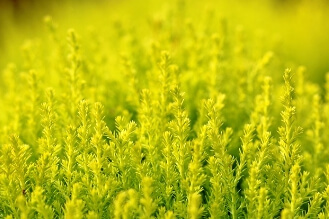 화담숲 예약하기 2025-3