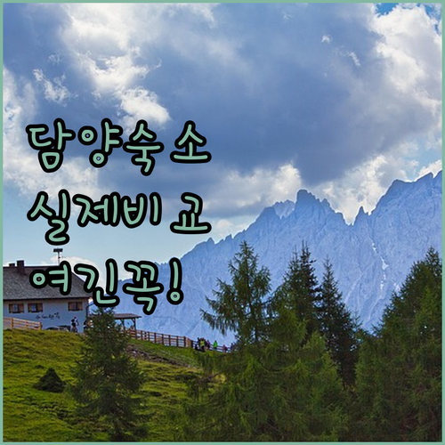 담양 여행 필수 코스 근처 인기 펜션..