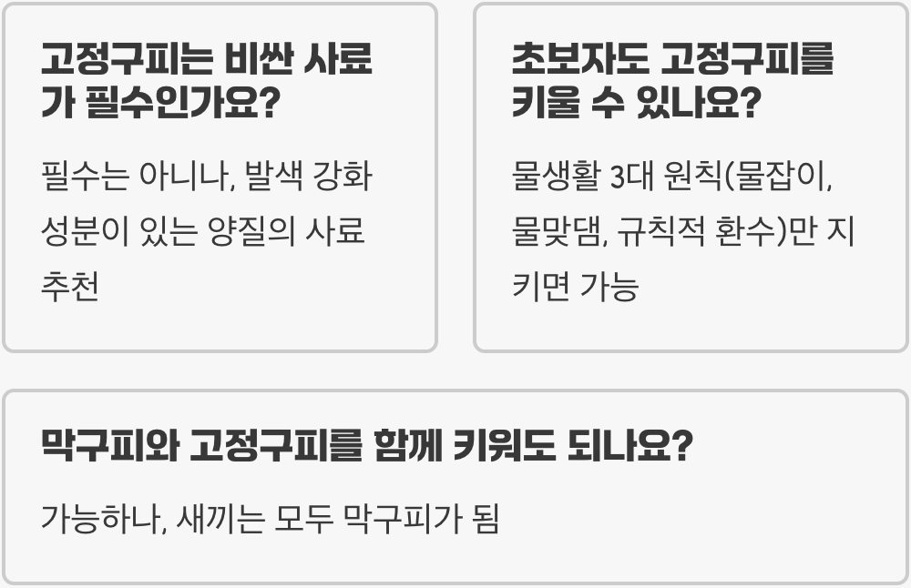 고정구피 vs 막구피, 결정적인 차이점과 매력 비교