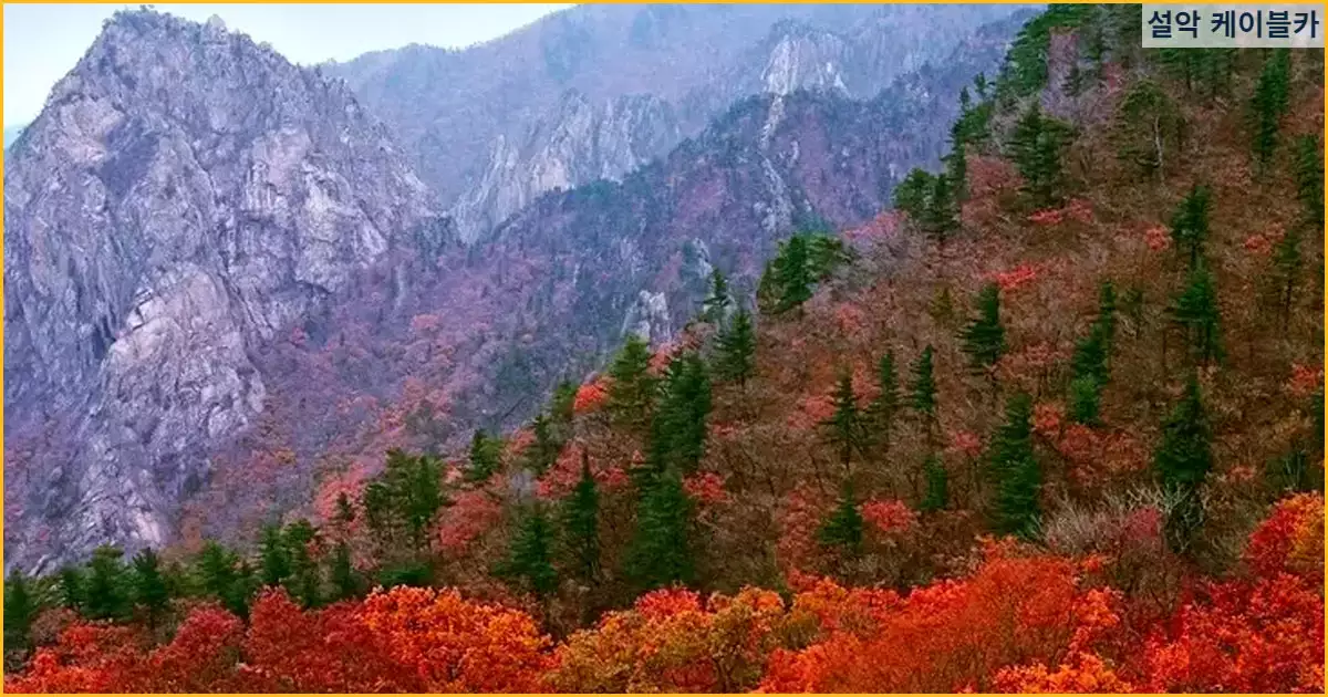 설악산 단풍
