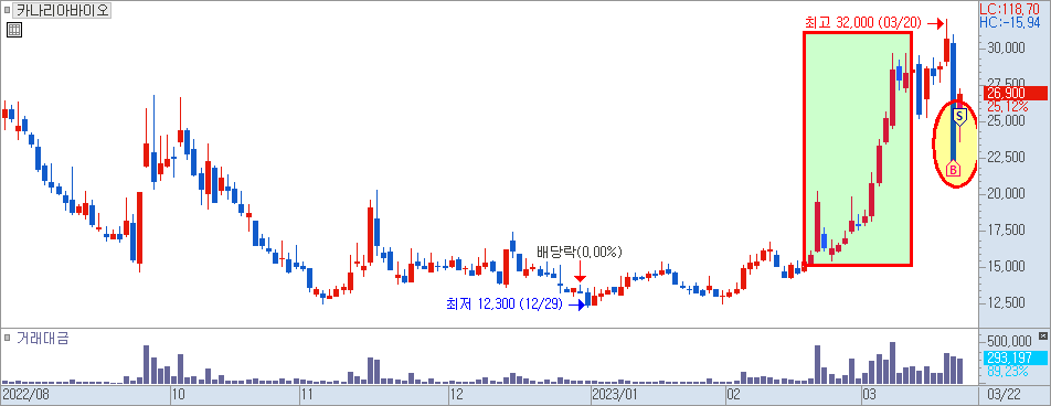 카나리아바이오 일봉 차트