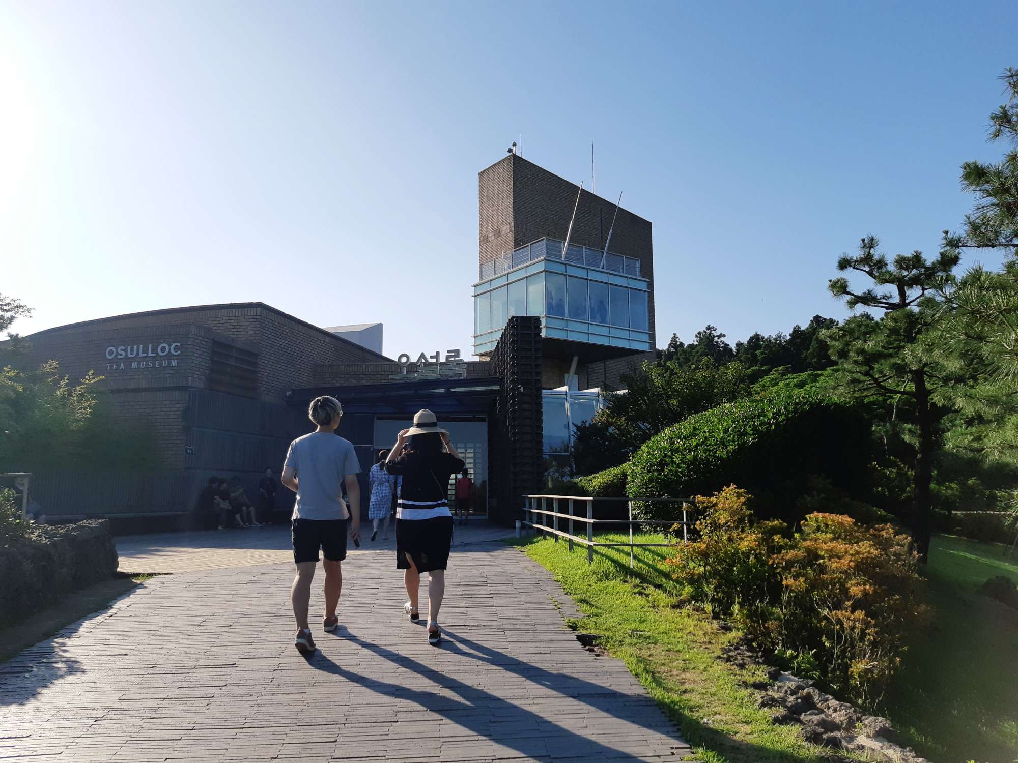 제주 오설록 가는길