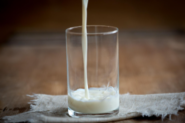 우유 칼슘 흡수의 진실