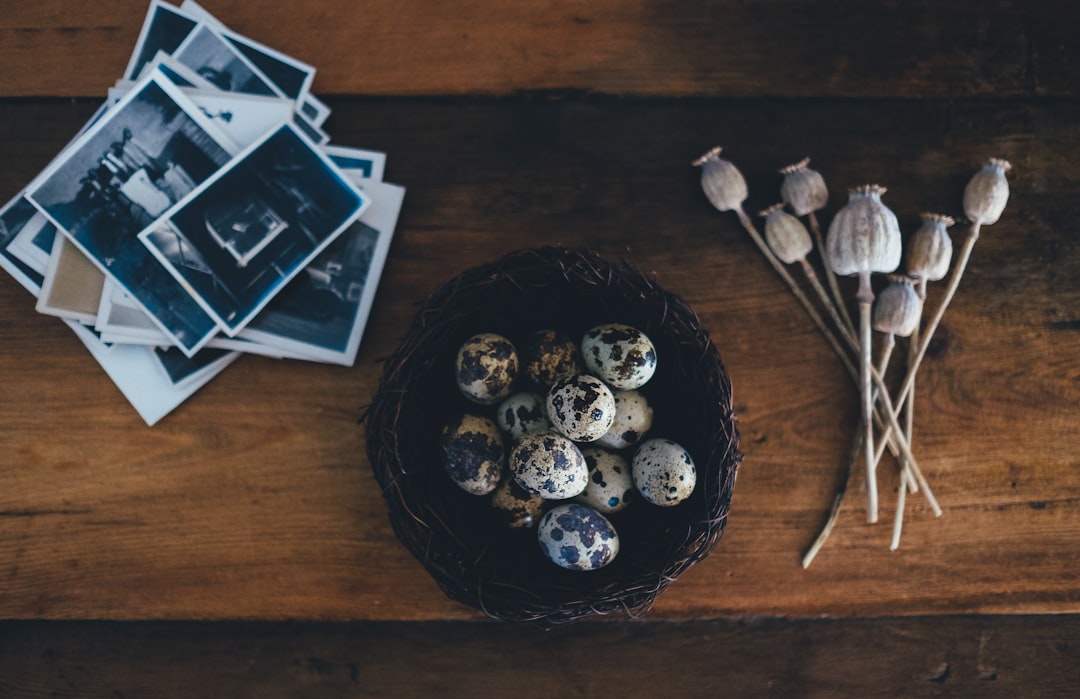 Quail eggs