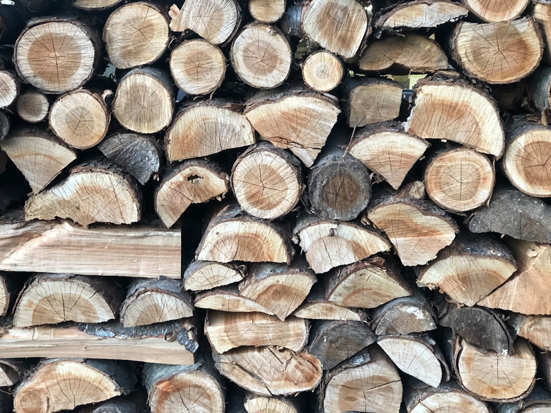 Logs