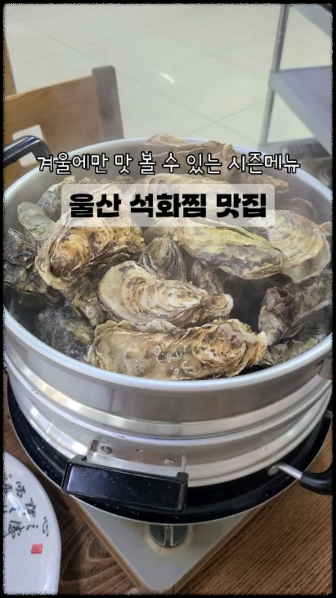 생생정보 - 대왕암 돌미역 닭국수집: 울산의 특별한 해산물 칼국수 명소