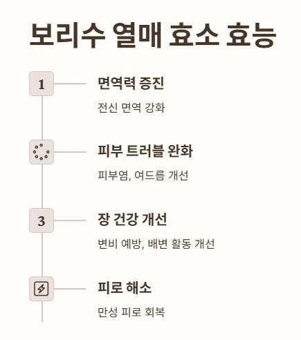 보리수 열매 효소 효능