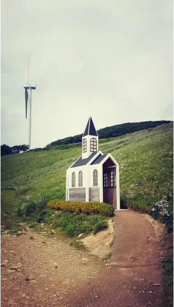 평창 가볼만한곳 베스트10 대관령 양떼목장 허브나라 드라이브_6