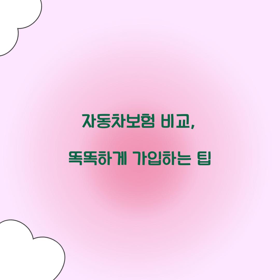 자동차보험 비교