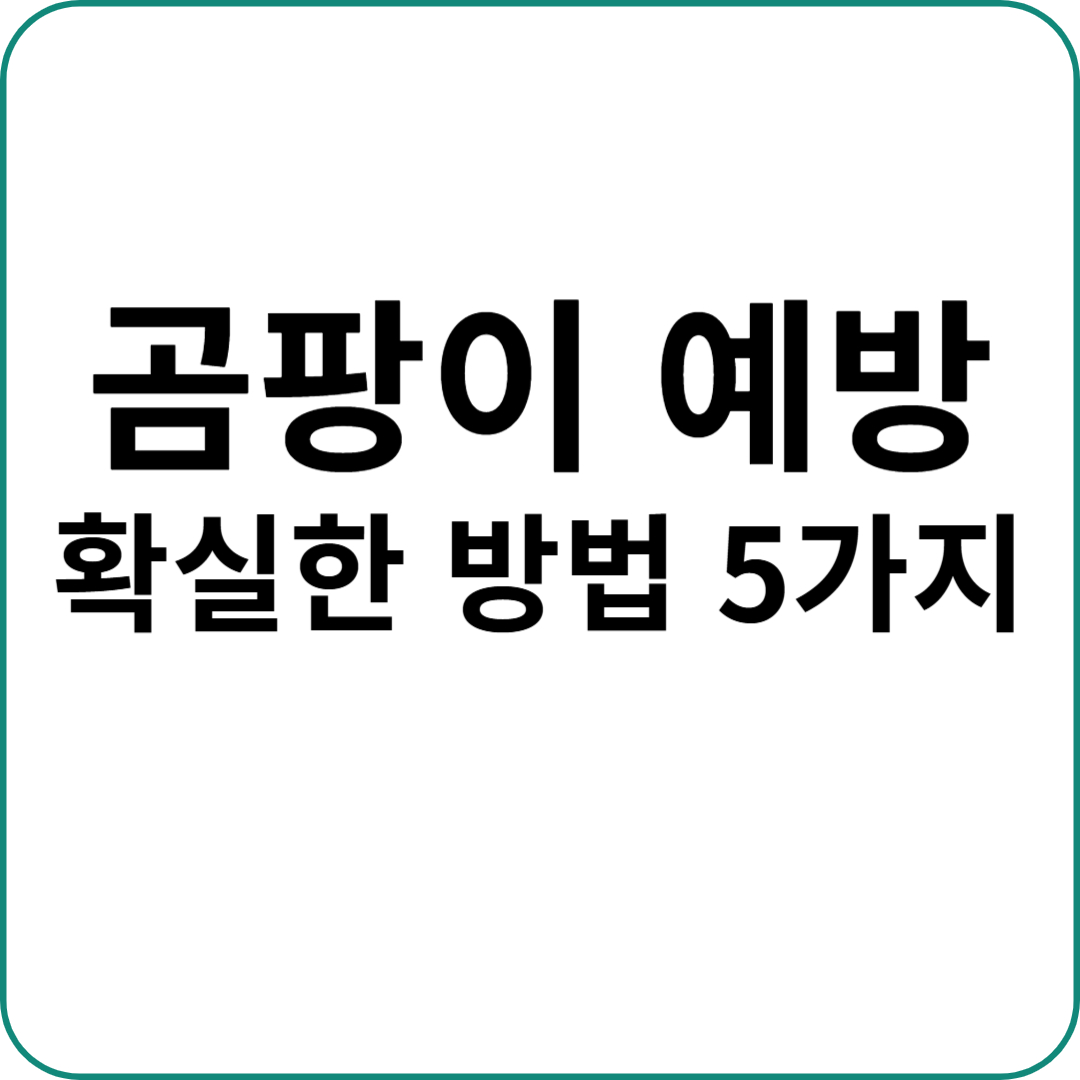 곰팡이 예방