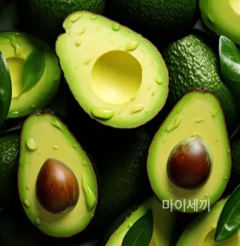 아보카도 칼로리
