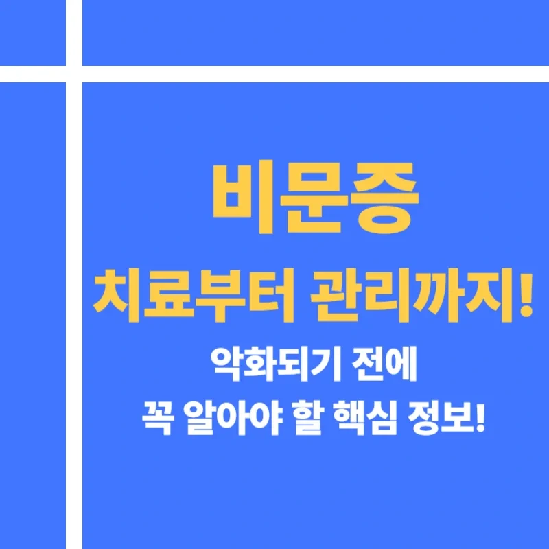 비문증 치료