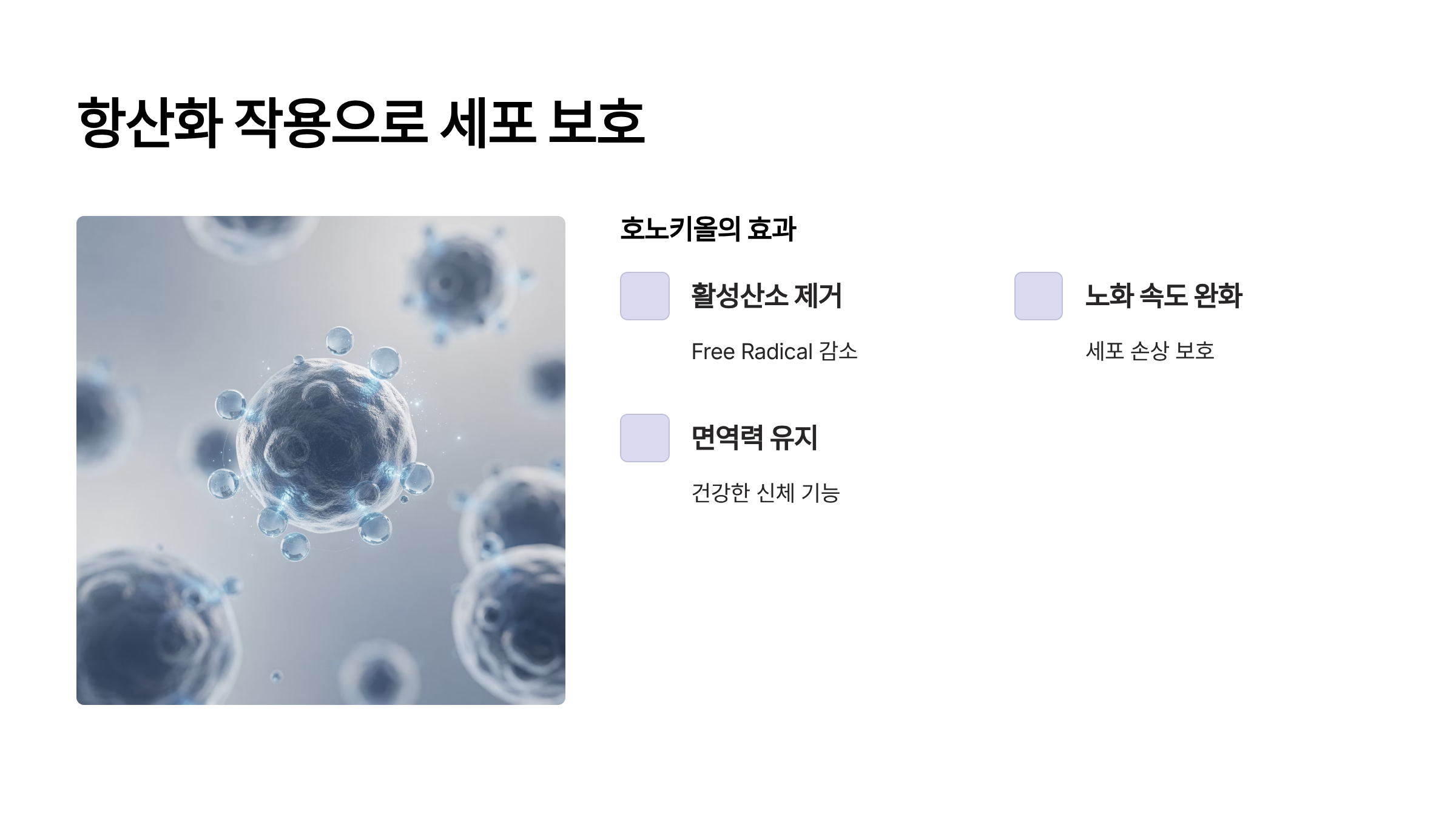 후박나무껍질 항산화 작용