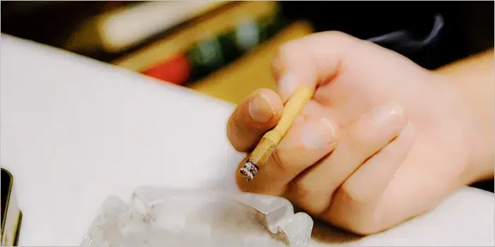 담배의 레귤러와 멘솔 중 어느 쪽이 몸에 더 나쁜지 설명