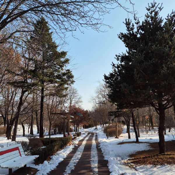 화목원 설경