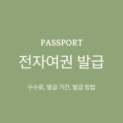 전자여권 발급! 2025년 수수료, 발급 기간, 온라인 신청 완벽 가이드
