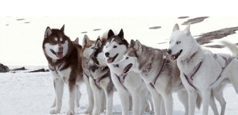 에이트빌로우 관련 사진