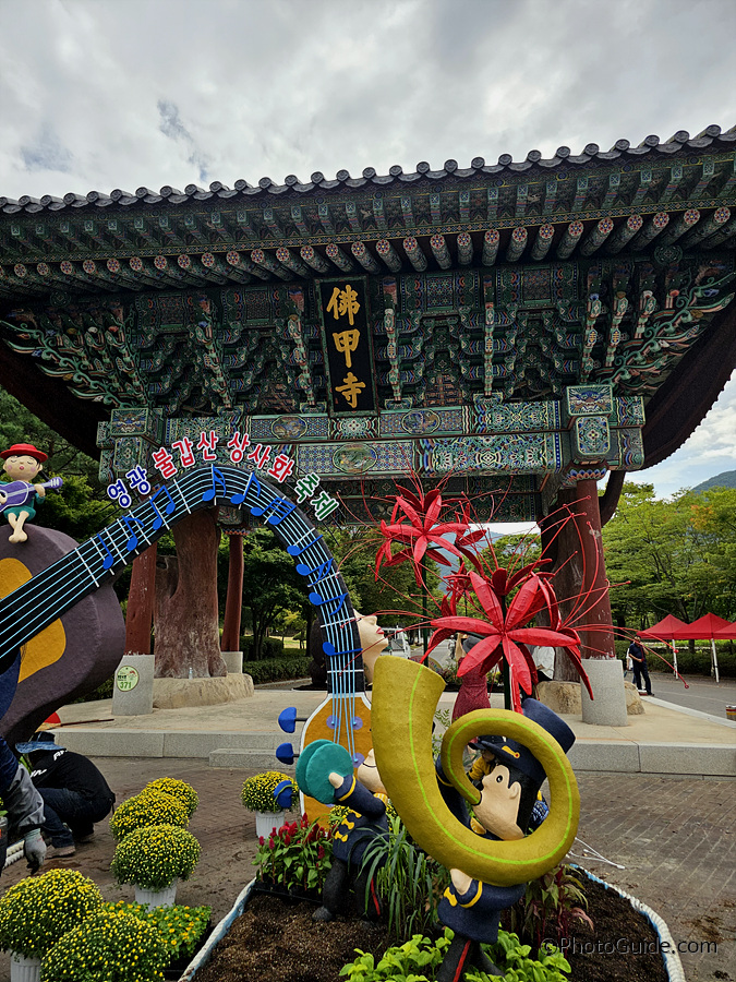 영광군 불갑산 상사화축제 2024