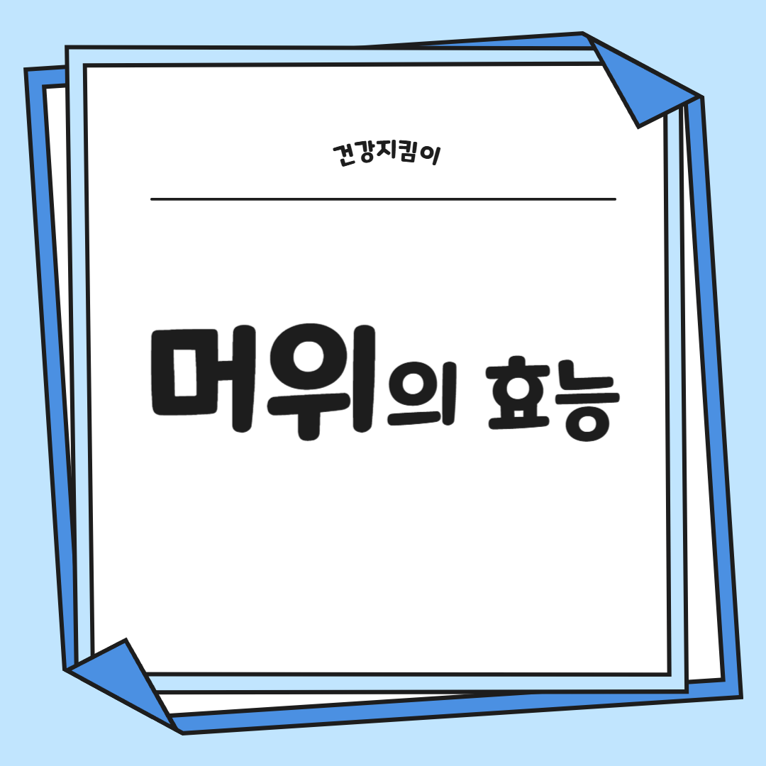 머위 효능과 부작용 고르는법 먹는법 칼로리