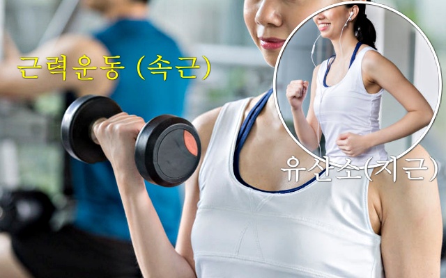 근력운동 유산소운동, 근육량 늘리는 방법, 근육 부자, 근감소증 좋은 음식 운동, 건강 팁줌 매일꿀정보