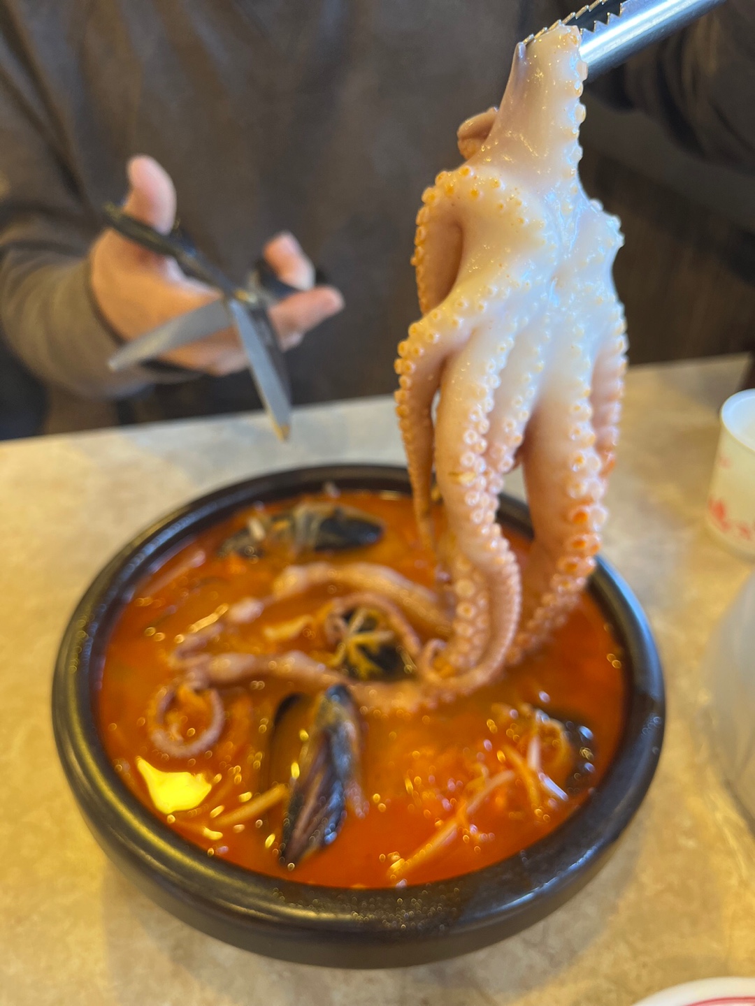 낙지 자르는 모습
