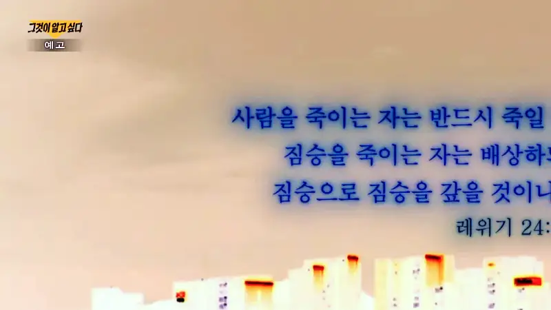 그알 그것이알고싶다 포항 고양이 연쇄 살해 사건 캣맘 불법 먹이 투기 행위 반대 캣 프레데터 강력 살인 범죄 징조 사례 1318회