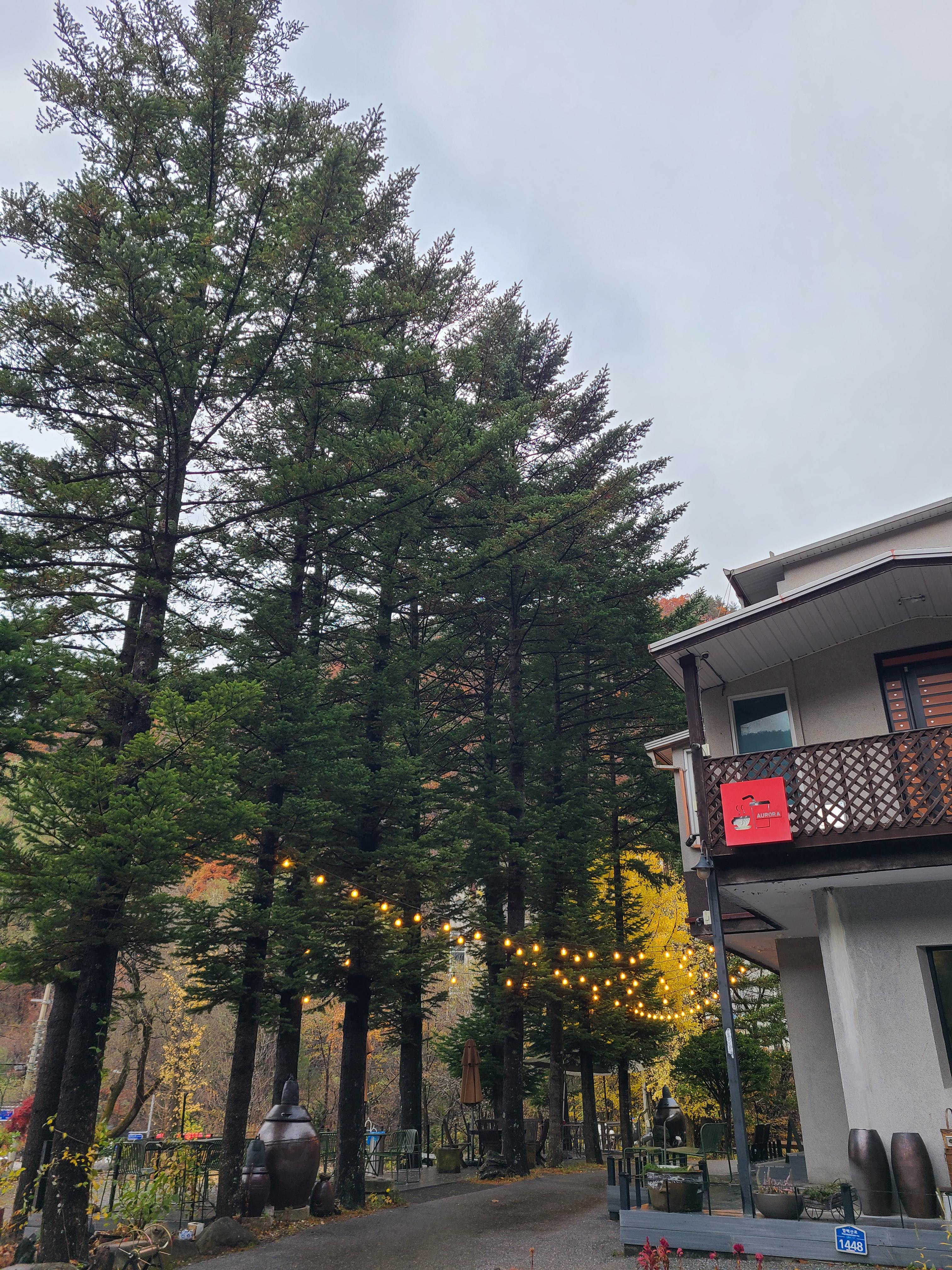 카페 아우로라 전경