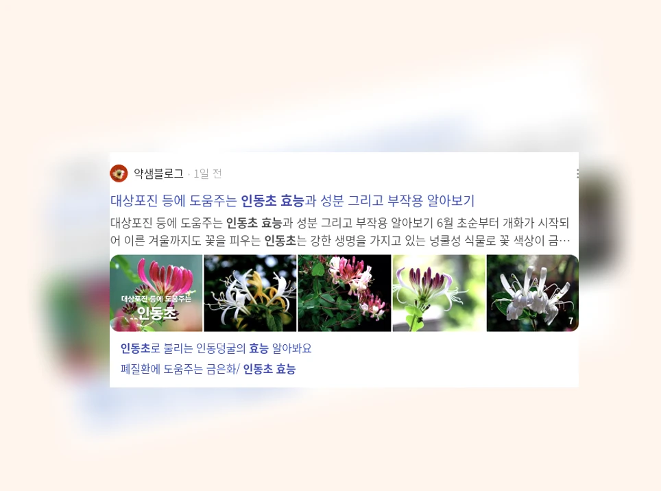 인동초의 효능_1_subsection