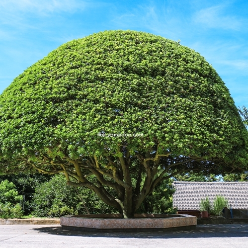 고흥 가볼만한곳 베스트10