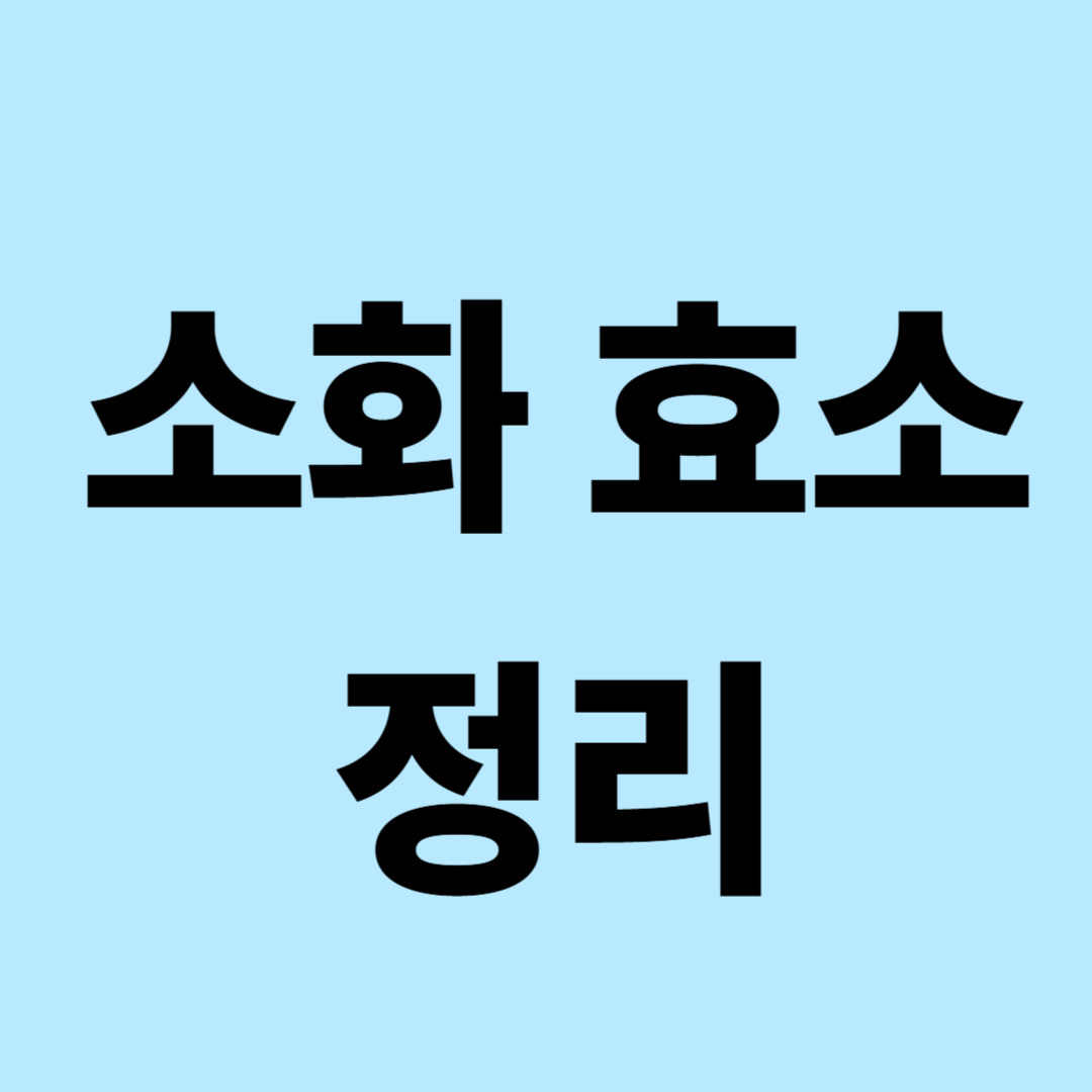 효소 효과 있을까 &ndash; 꼭 먹어야 할까 쉽게 정리