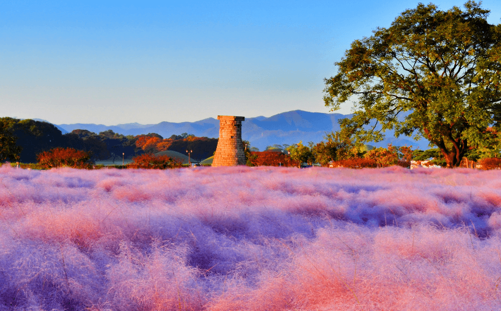 가을국내여행지 추천-대한민국숙박세일페스타-대한민국구석구석-가볼만한여행지