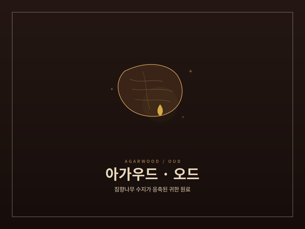 오우드 사진