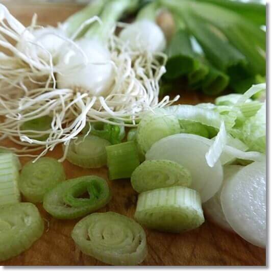 대파 뿌리 효능 및 영양소 활용법과 주의점