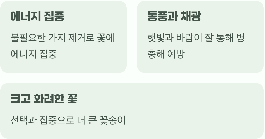 왜 가위질이 선택이 아닌 필수일까?