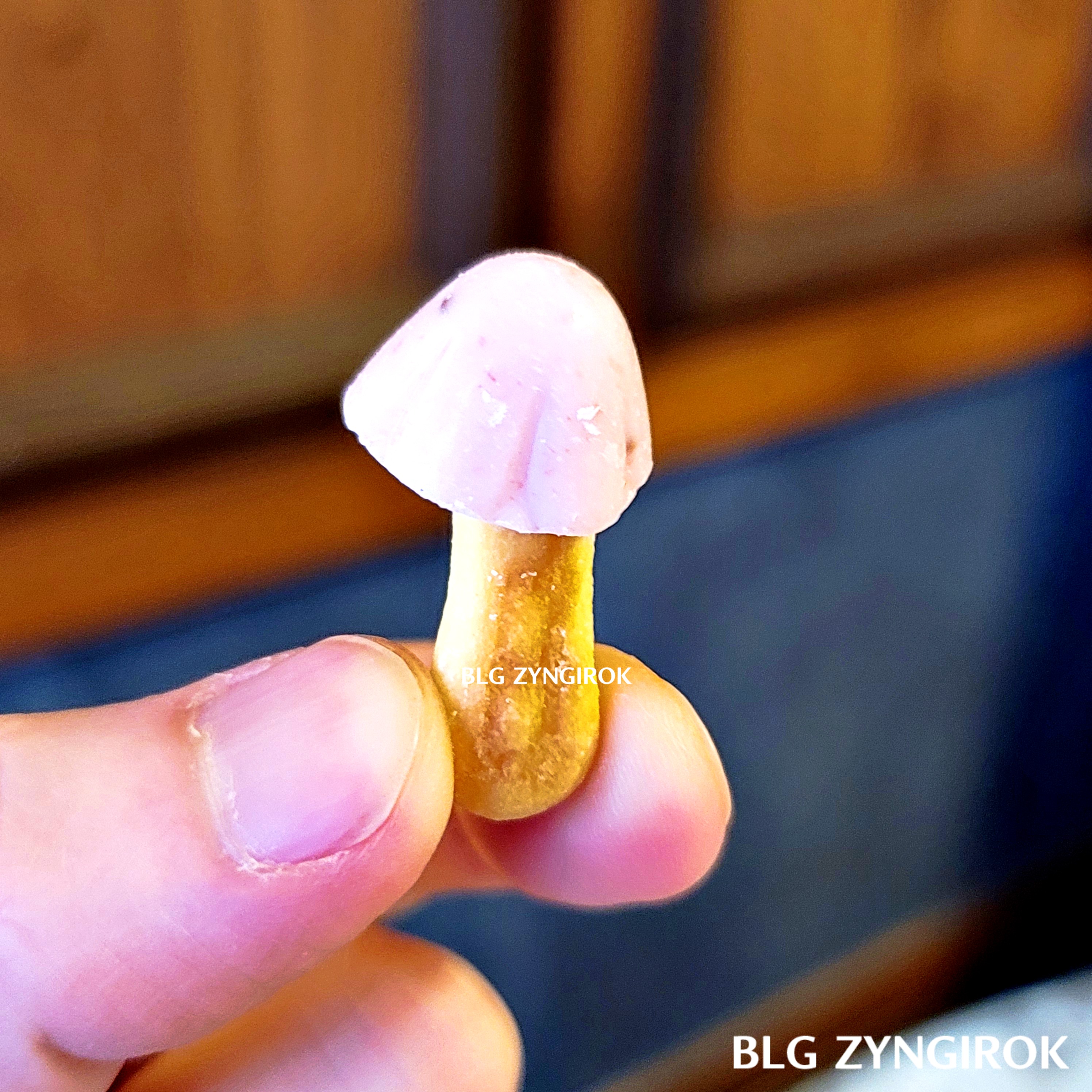 봄한정판 오리온 딸기송이를 들고 있는 모습이다.