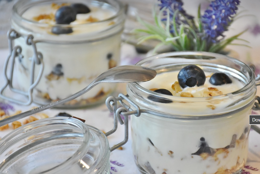 블루베리 요거트