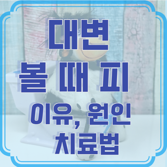 대변 볼 때 피 나는 이유, 원인 및 치료법 – 어떤 문제가 있을까?