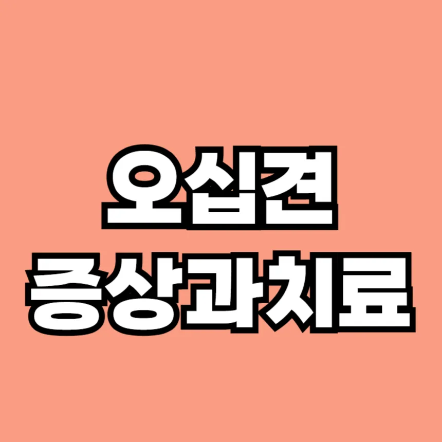 오십견 증상