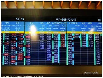 동대구시외버스터미널 시간표 예매안내 정리_17