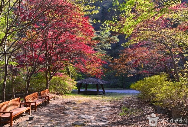 담양 가볼만한곳 베스트 10