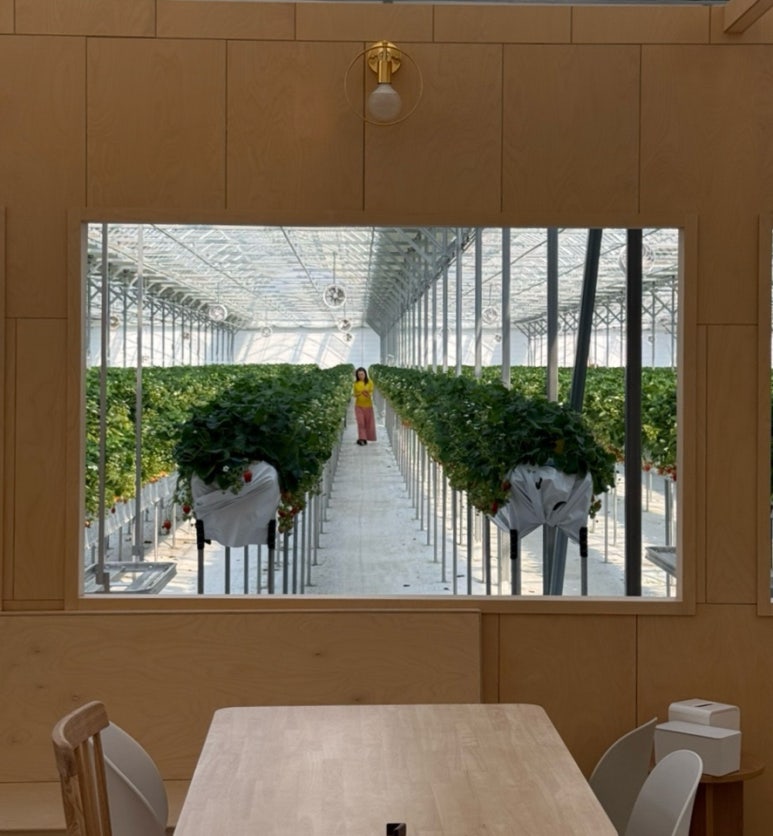 페이머스파머스