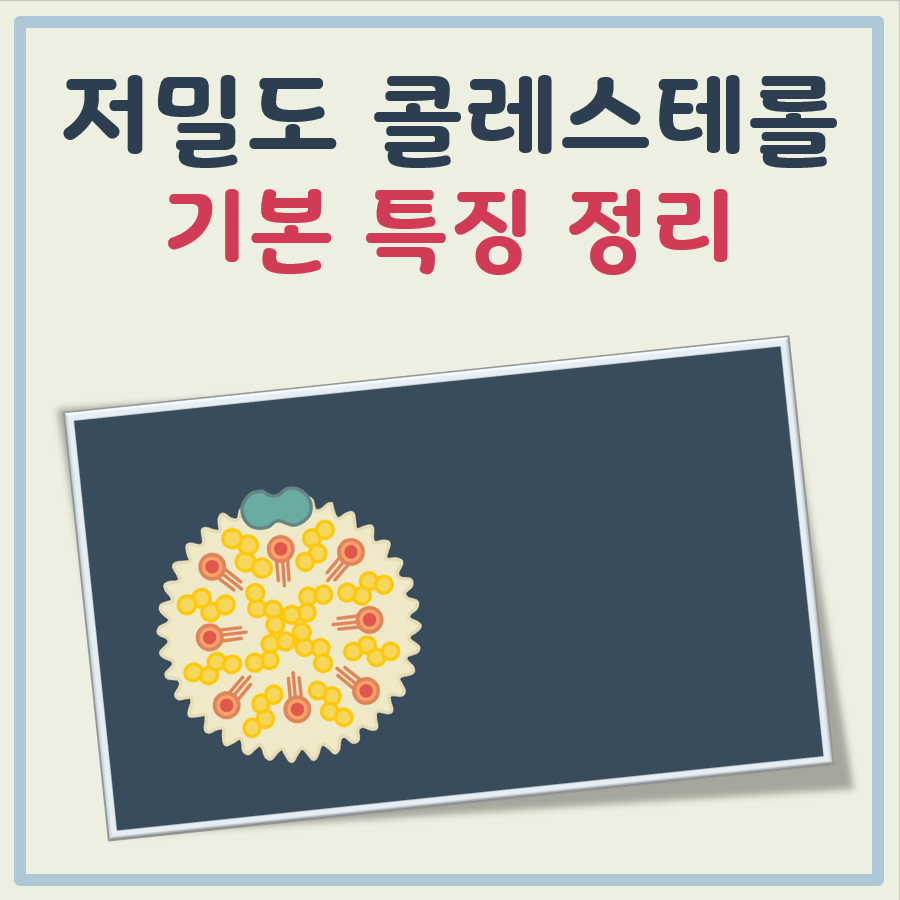 저밀도 콜레스테롤 이란 대표 이미지