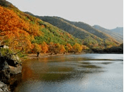 단풍여행 1박2일 버스 단풍구경