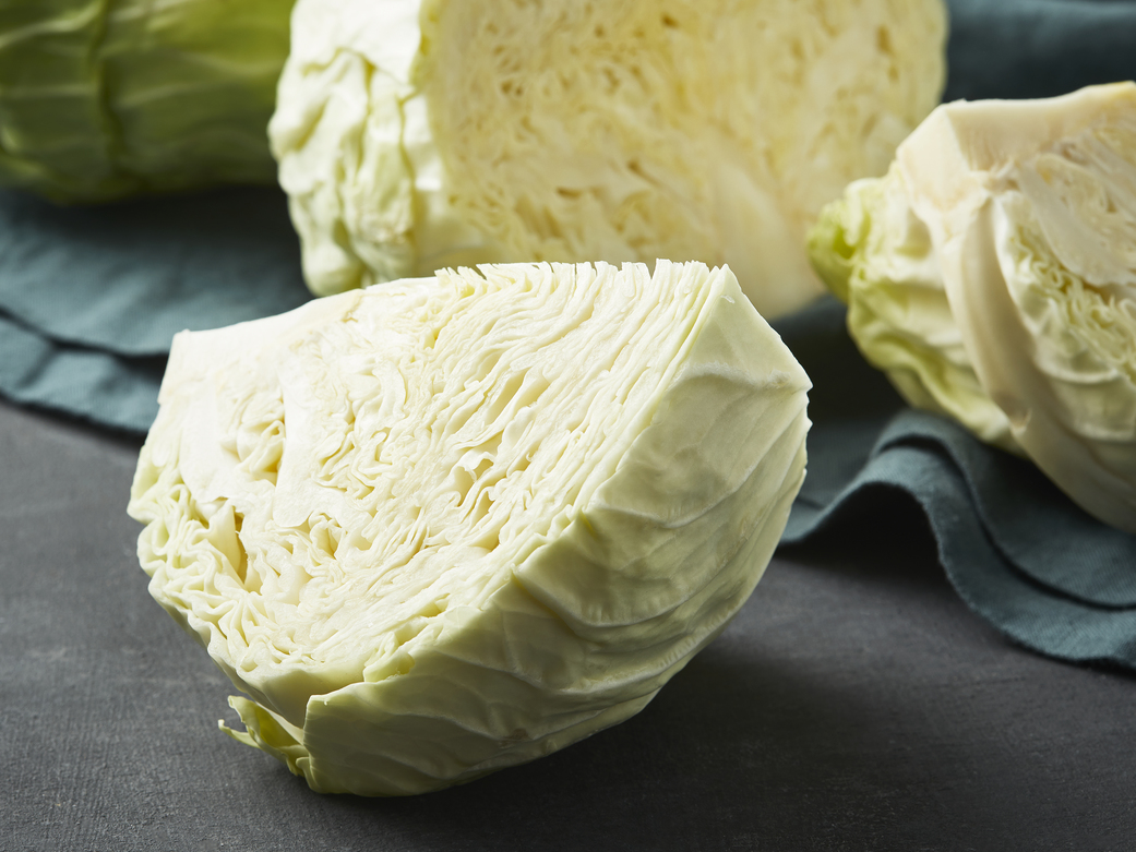 Cabbage 1