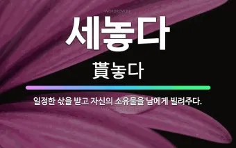 빌려주다 한자와 빌려주다를 한자로 쓰는 법_2