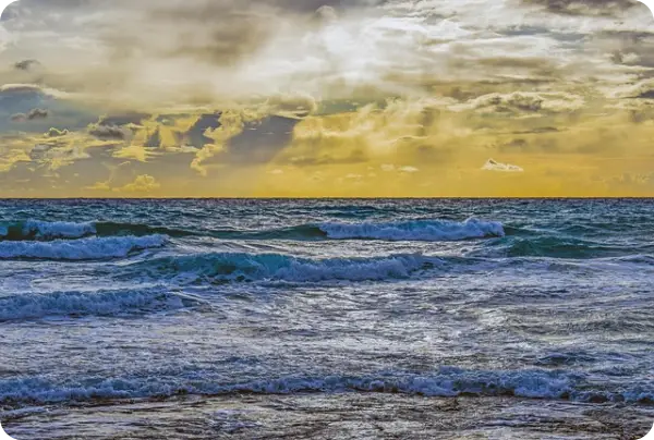 쏠비치남해 예약